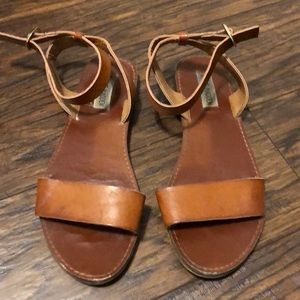 Brown Steve Madden sandals